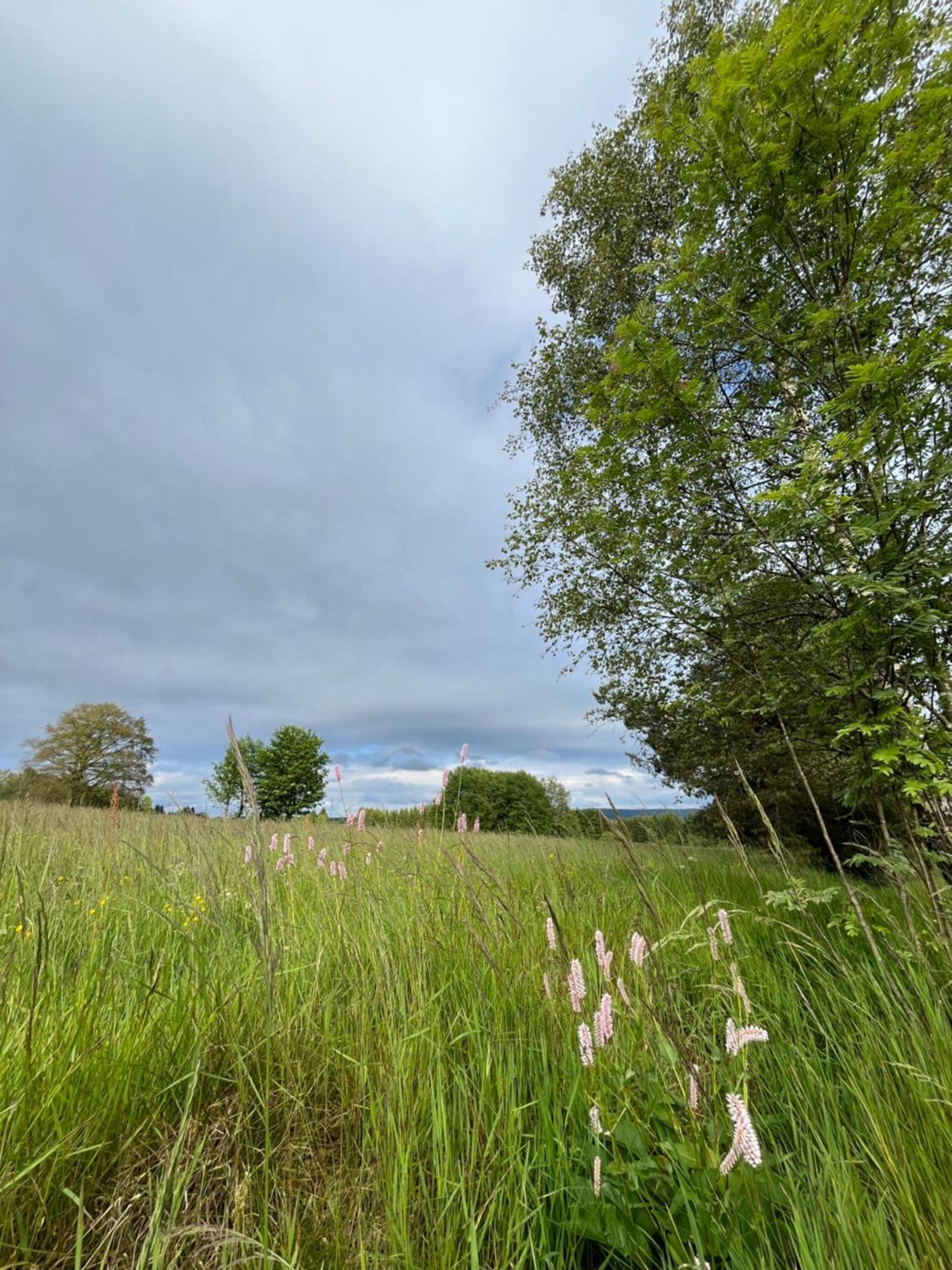 An Der Liesel Wiese Johanngeorgenstadt Dış mekan fotoğraf
